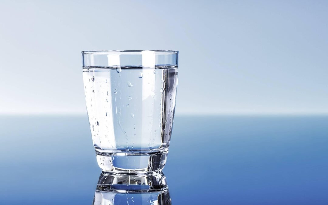 RO Maintenance and Water Purity Protection Project